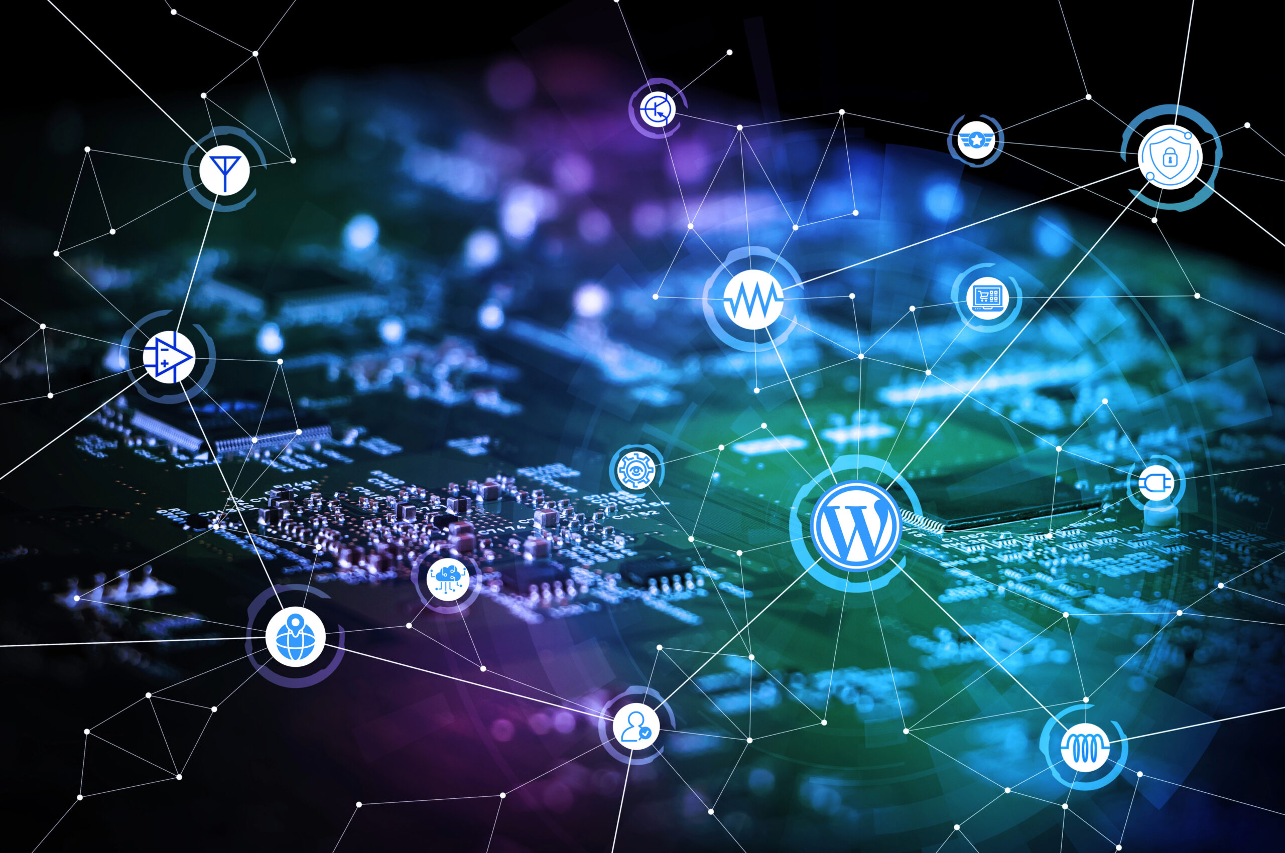 Top 10 Most Used WordPress Plugins in 2024